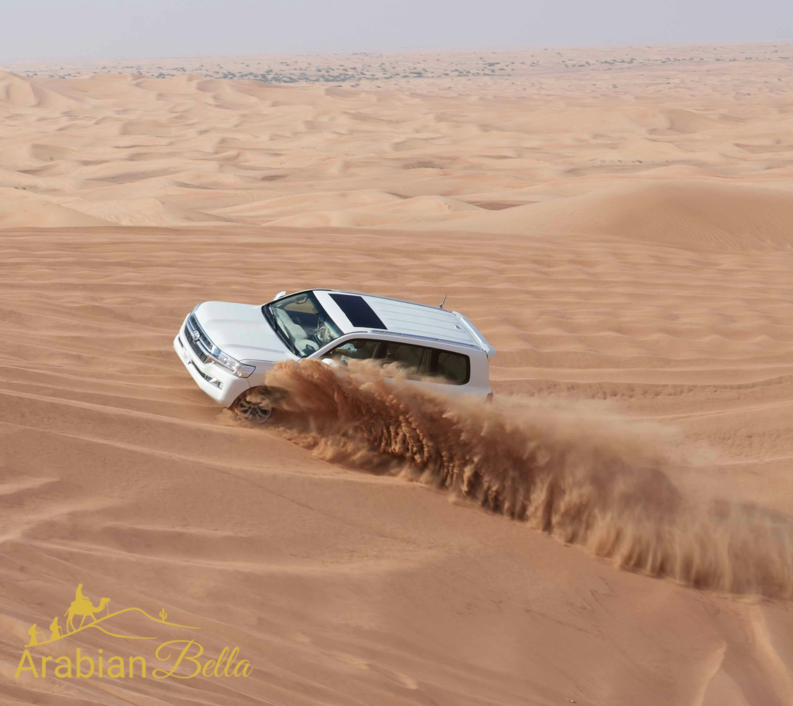 Dubai Desert Safari