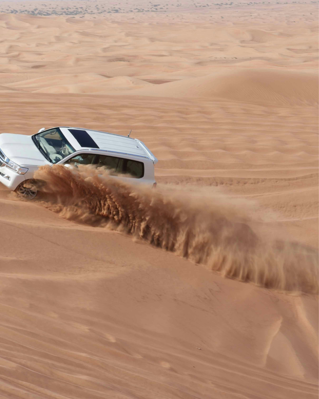 Desert Safari Adventure