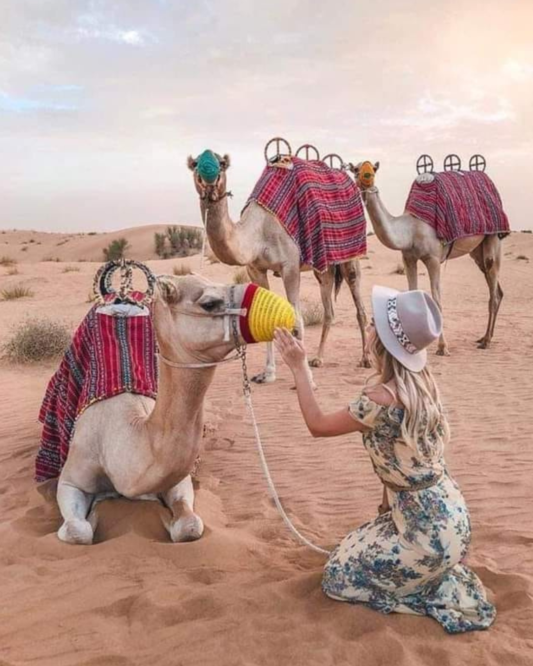 Dubai City Tour